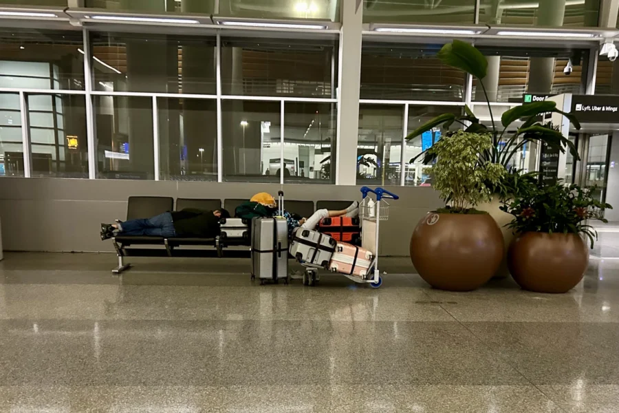 person sleeping on a bench